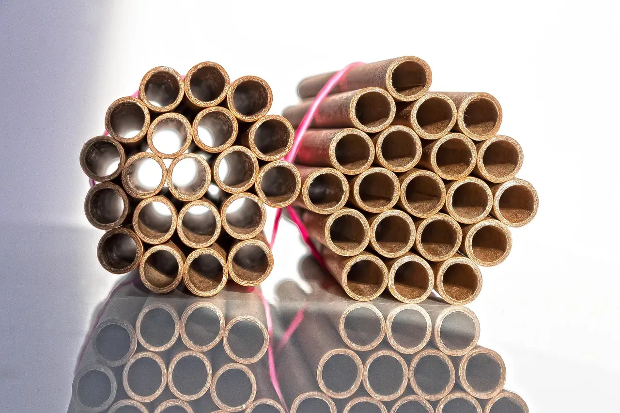 Cardboard Tubes and Egg Cartons (Image Credits: Pixabay)