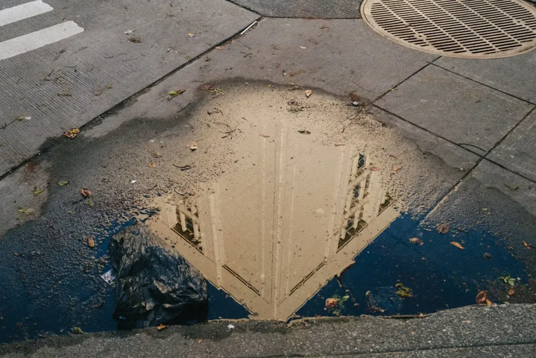 2. How well the streets and sidewalks are maintained (Image Credits: Unsplash)