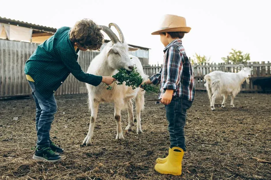 3. Assigning Heavy Farm Chores Before School Each Morning (Image Credits: Pexels)