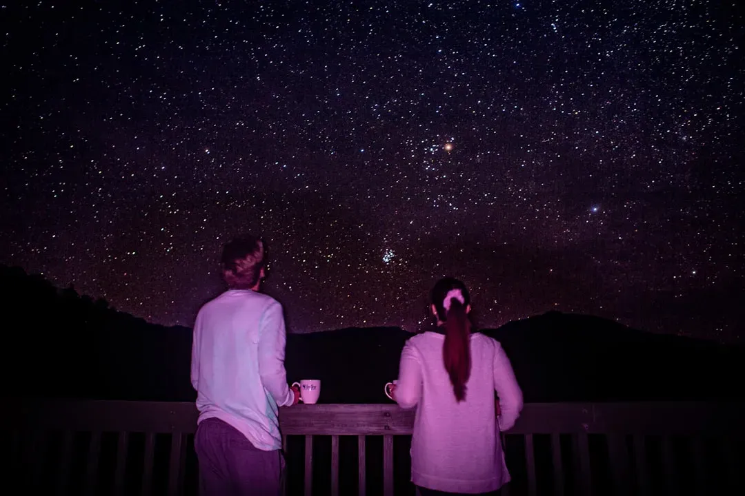 10. Stargazing or a night drive (Image Credits: Unsplash)