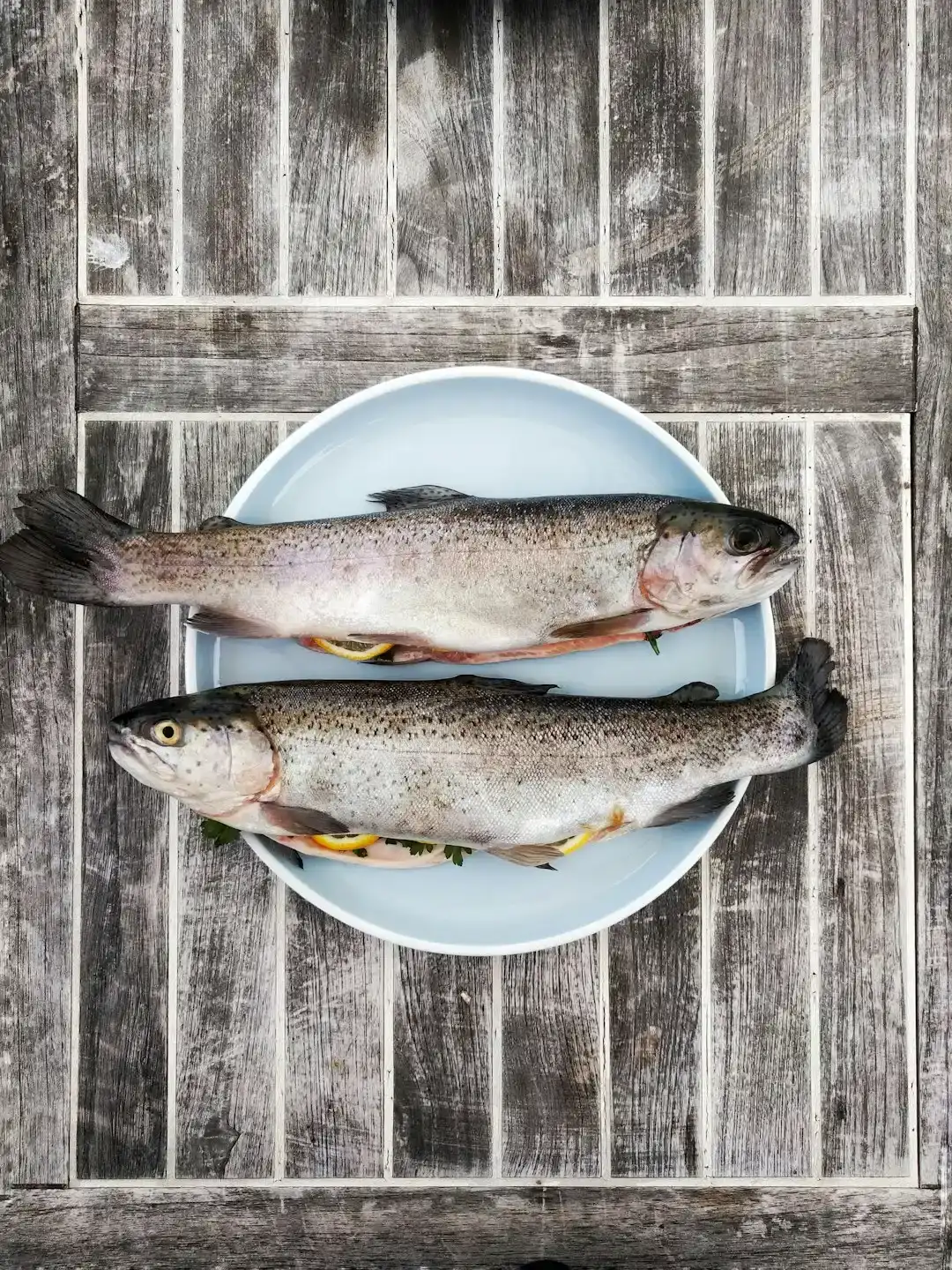 3. Fish on a Monday (Image Credits: Unsplash)