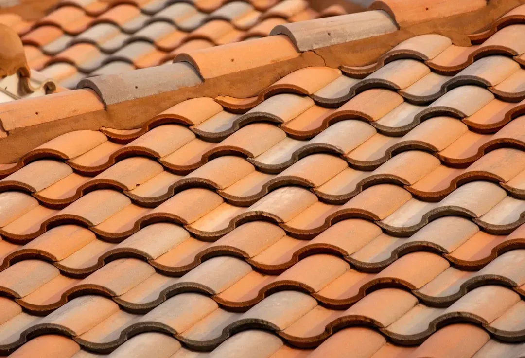 Clay or concrete tile, especially in hot and dry climates (Image Credits: Unsplash)