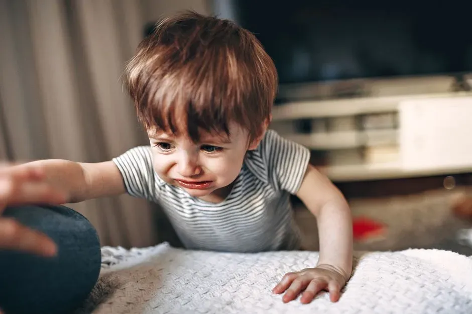 "Calm Down" (Image Credits: Pexels)