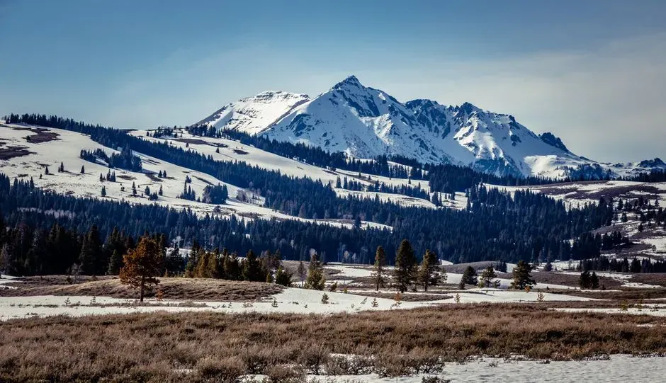 6. Wyoming (Image Credits: Pexels)