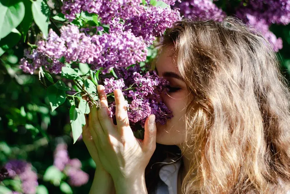 The Smell of Their Home (Image Credits: Pexels)