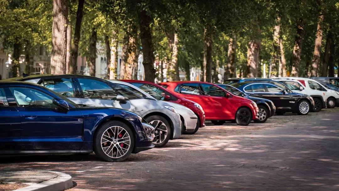 11. Introducing newcomers to the best informal parking spots (Image Credits: Unsplash)