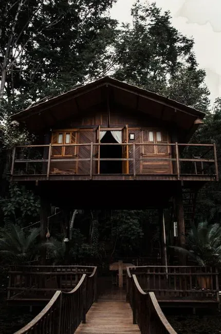 8. Treehouses and elevated platforms (Image Credits: Pexels)