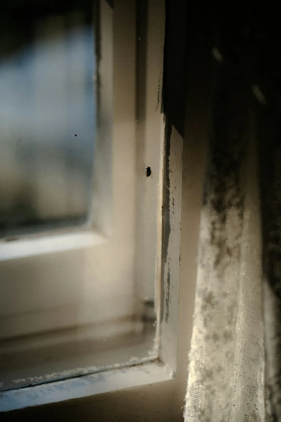 8. Window and door seal failures (Image Credits: Unsplash)