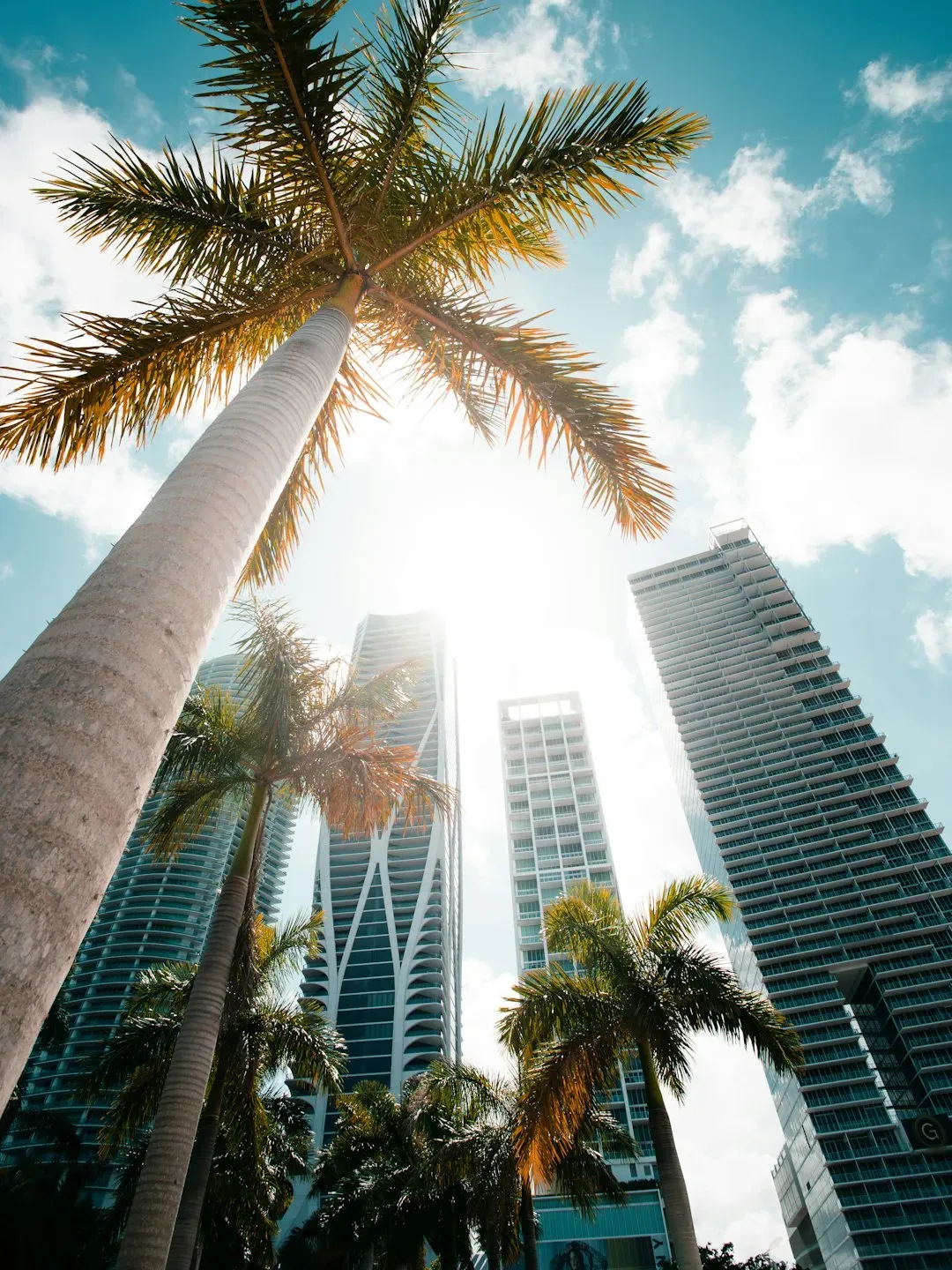 8. Miami, Florida (Image Credits: Unsplash)