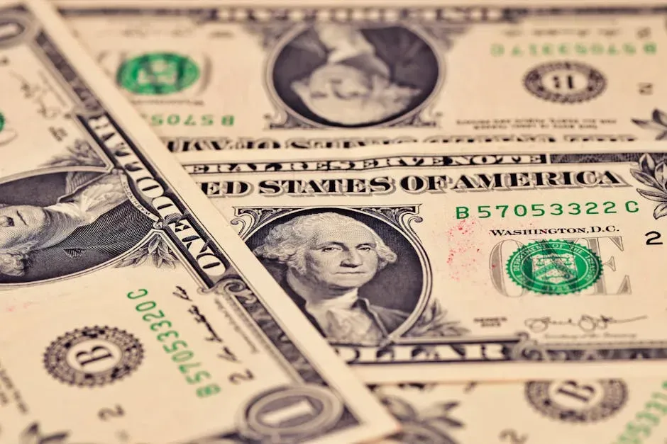 Large-Size Notes: The "Horse Blanket" Bills (Image Credits: Pexels)