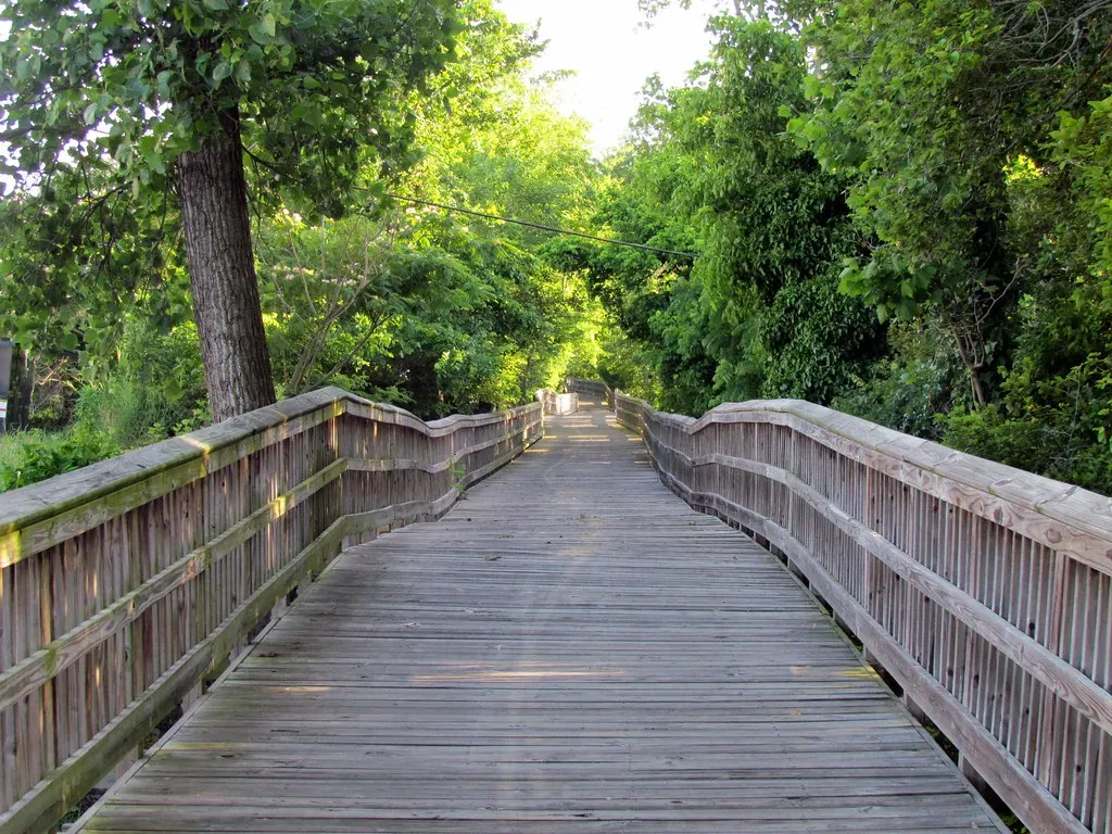 6. Raleigh, North Carolina: Open Arms and Open Greenways (bobistraveling, Flickr, <a href="https://creativecommons.org/licenses/by/2.0/" target="_blank" rel="noopener">CC BY 2.0</a>)