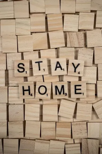 Canceling Plans to Stay Home (Image Credits: Pexels)