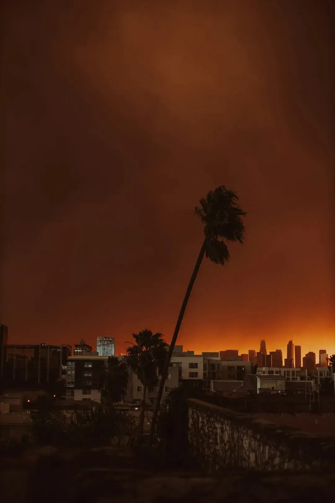 2. Los Angeles, California (Image Credits: Unsplash)
