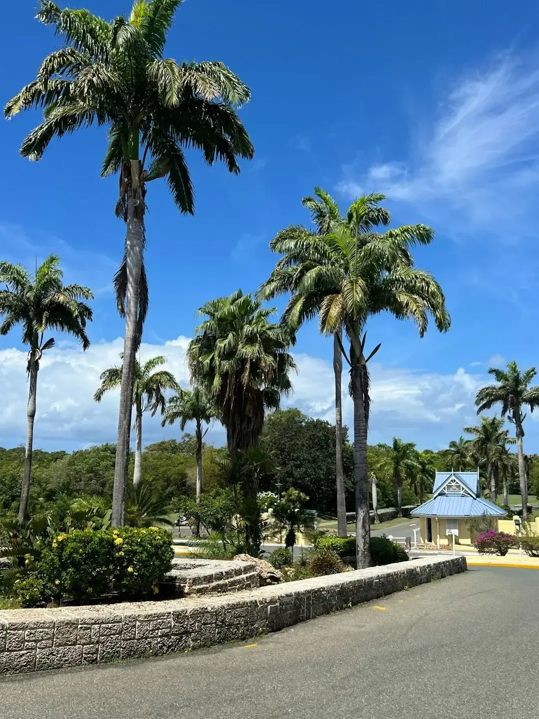The Caribbean is stepping in as a practical alternative to Europe (Image Credits: Unsplash)