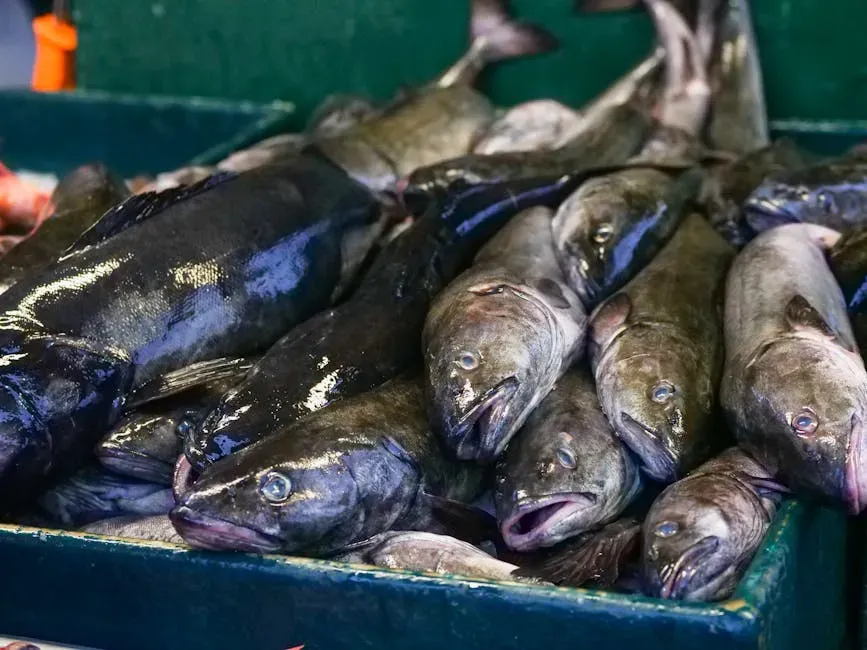 Cod: The Classic Lean Fish That Delivers on Protein (Image Credits: Pexels)