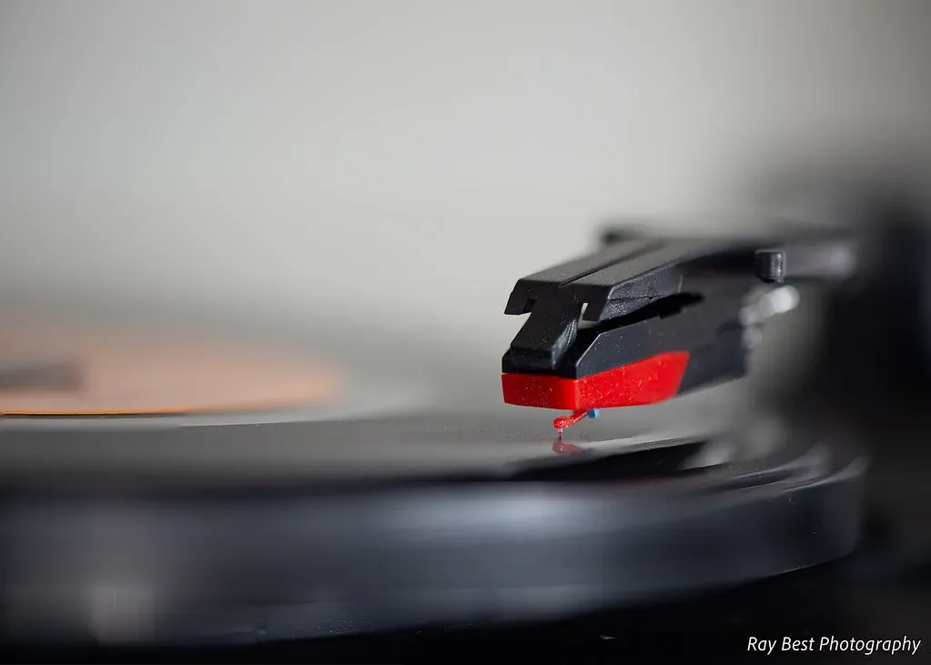 2. Playing Vinyl Records at the Party (The Hidden Hide with Ray, Flickr, <a href="https://creativecommons.org/licenses/by/2.0/" target="_blank" rel="noopener">CC BY 2.0</a>)