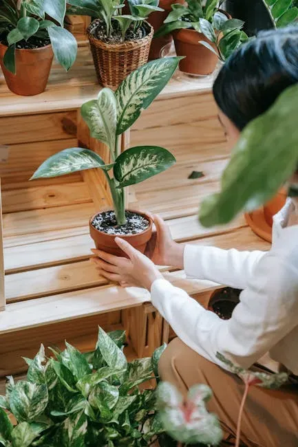 5. Bring in a Living Element: Plants Done with Intention (Image Credits: Pexels)