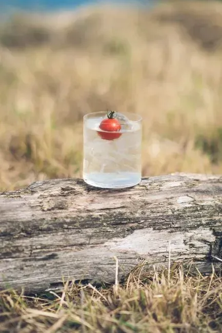 8. Clearly Canadian (Image Credits: Pexels)