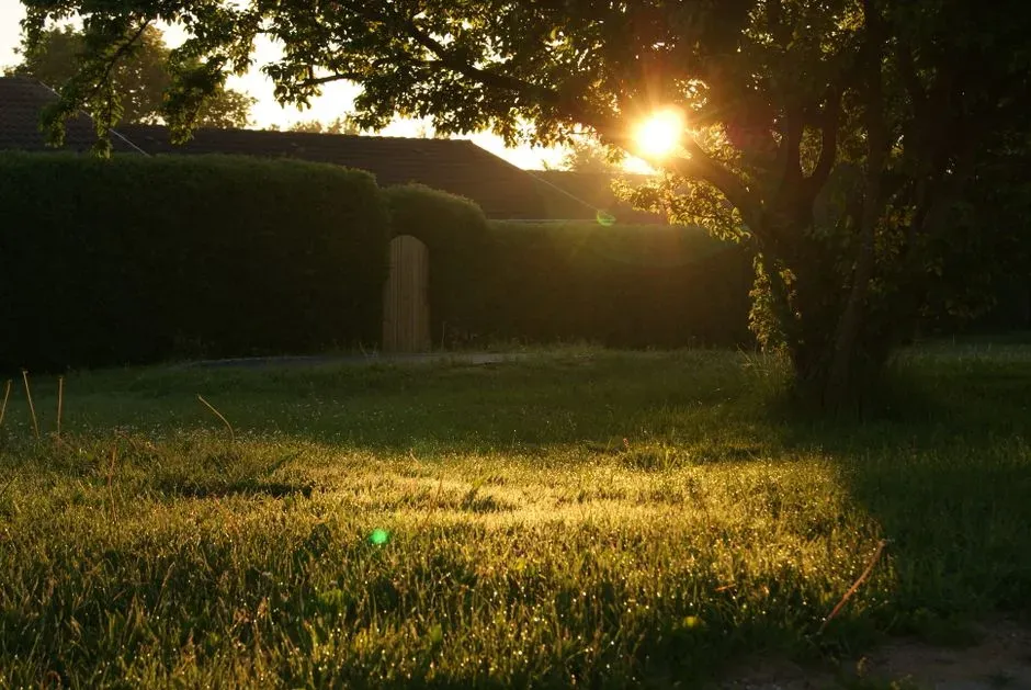 1. Getting sunlight within the first hour of waking (Image Credits: Pexels)