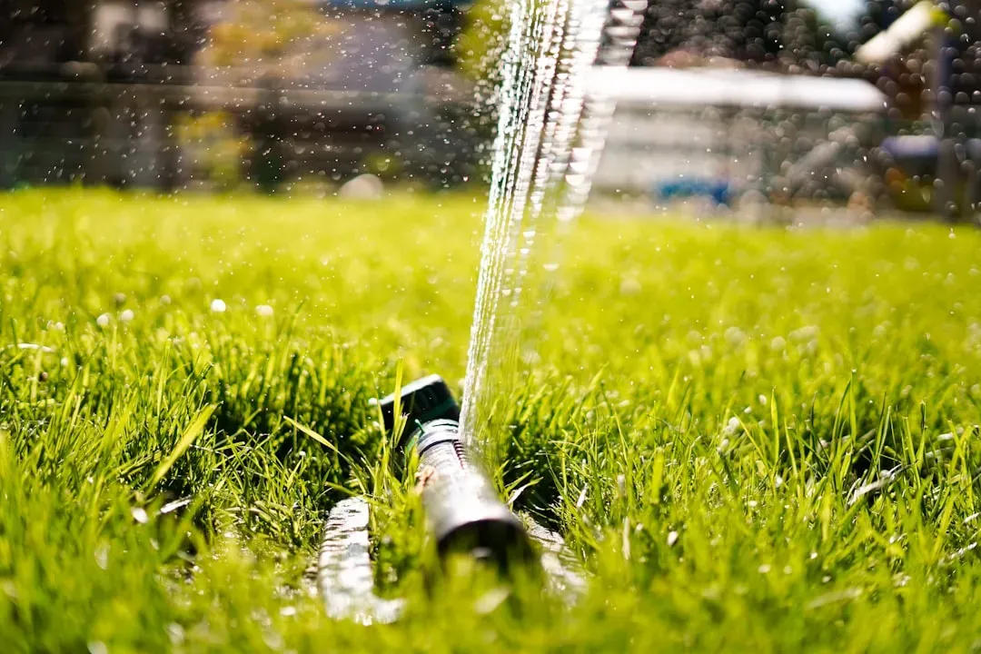 2. Watering Your Lawn at the Wrong Time of Day Right After Mowing (Image Credits: Unsplash)