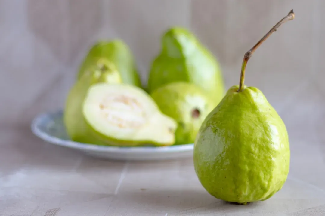 Guava - The Nutritional Overachiever Most People Ignore (Image Credits: Unsplash)