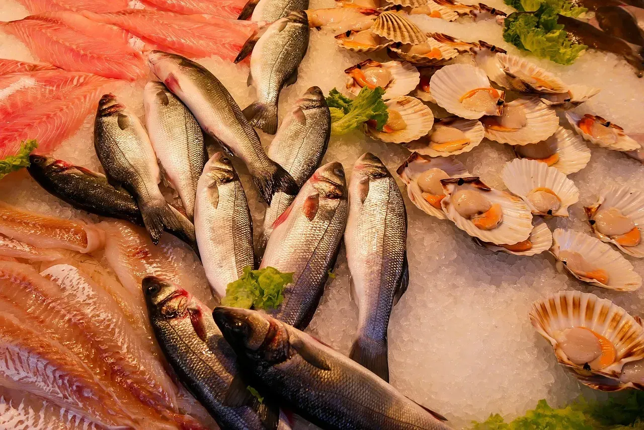 Fish on a Monday (Image Credits: Pixabay)