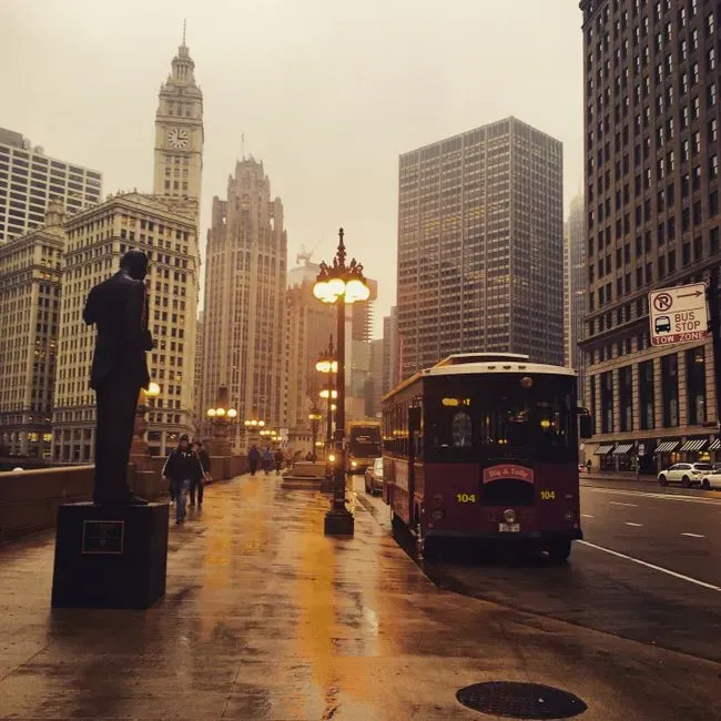 Cook County and the Chicago metro, Illinois (Image Credits: Pexels)