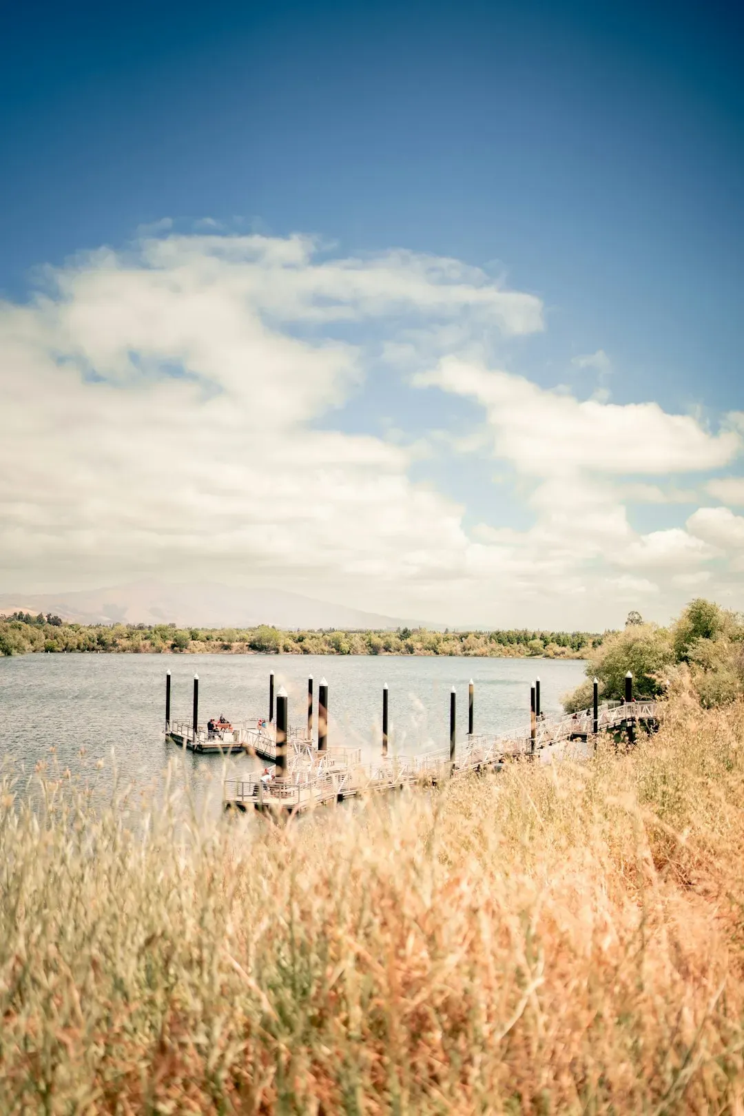 Fremont, California (Image Credits: Unsplash)