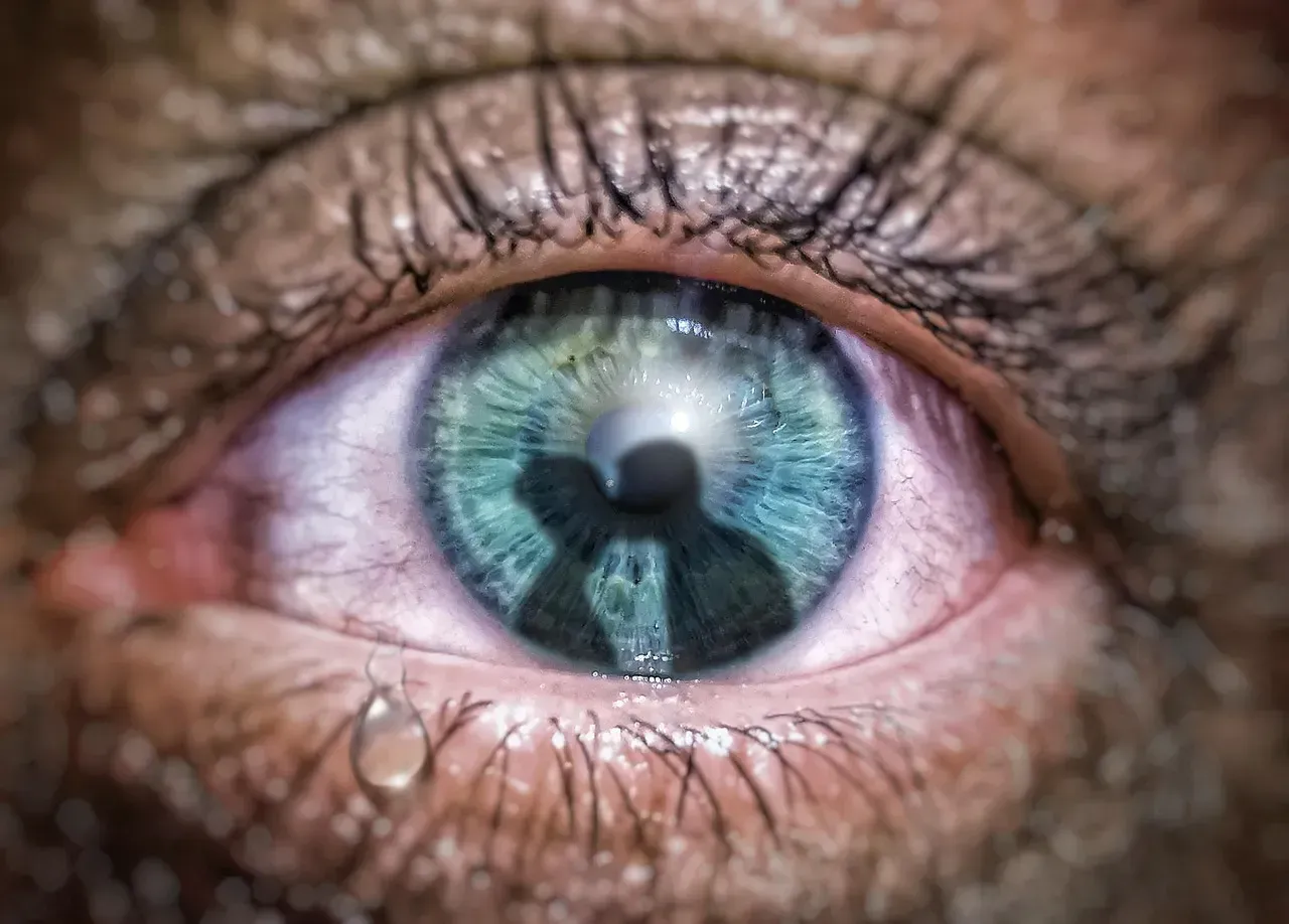 10. Jealousy gets rebranded as devotion (Image Credits: Pixabay)