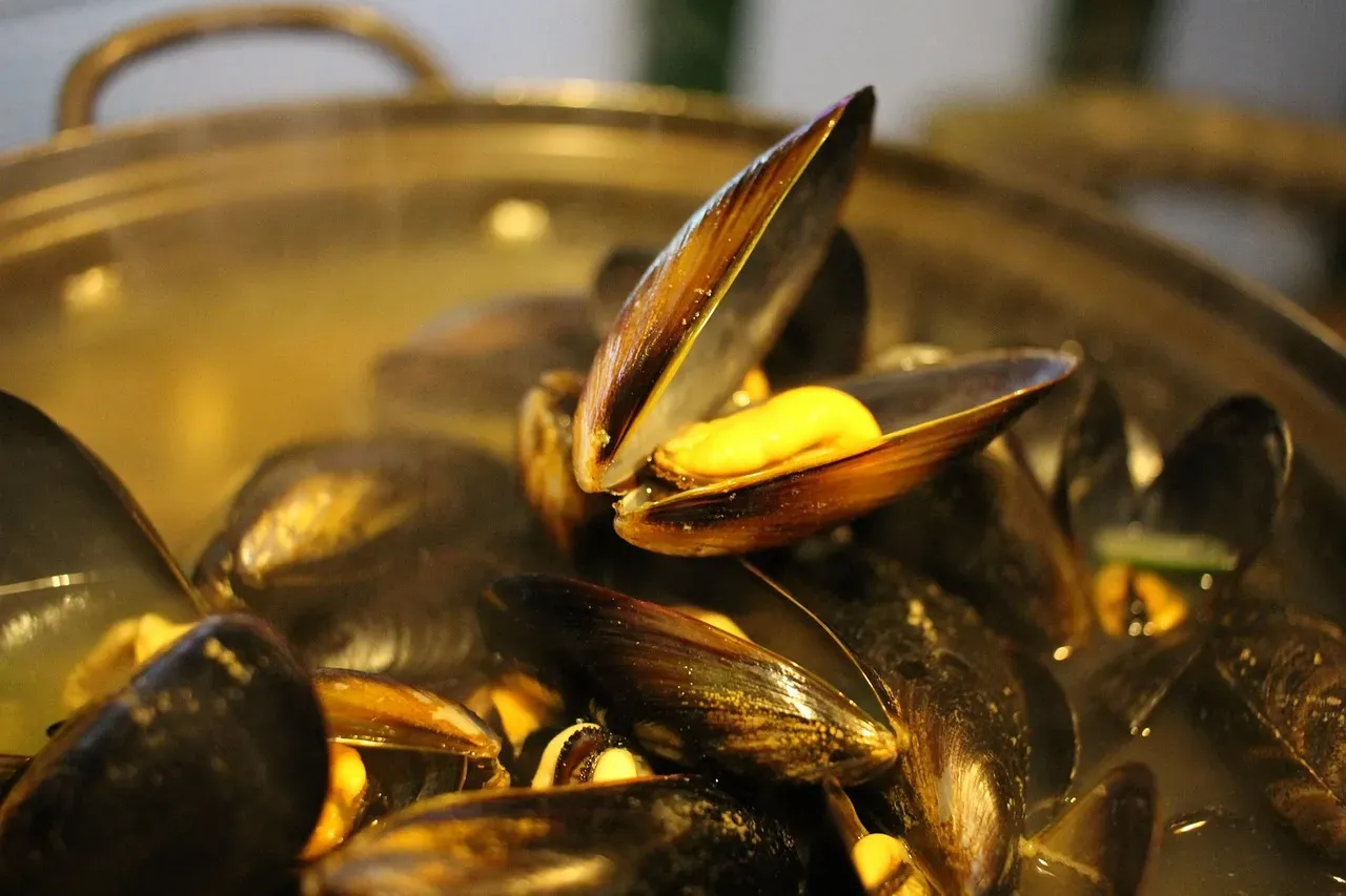 Mussels (Image Credits: Pixabay)