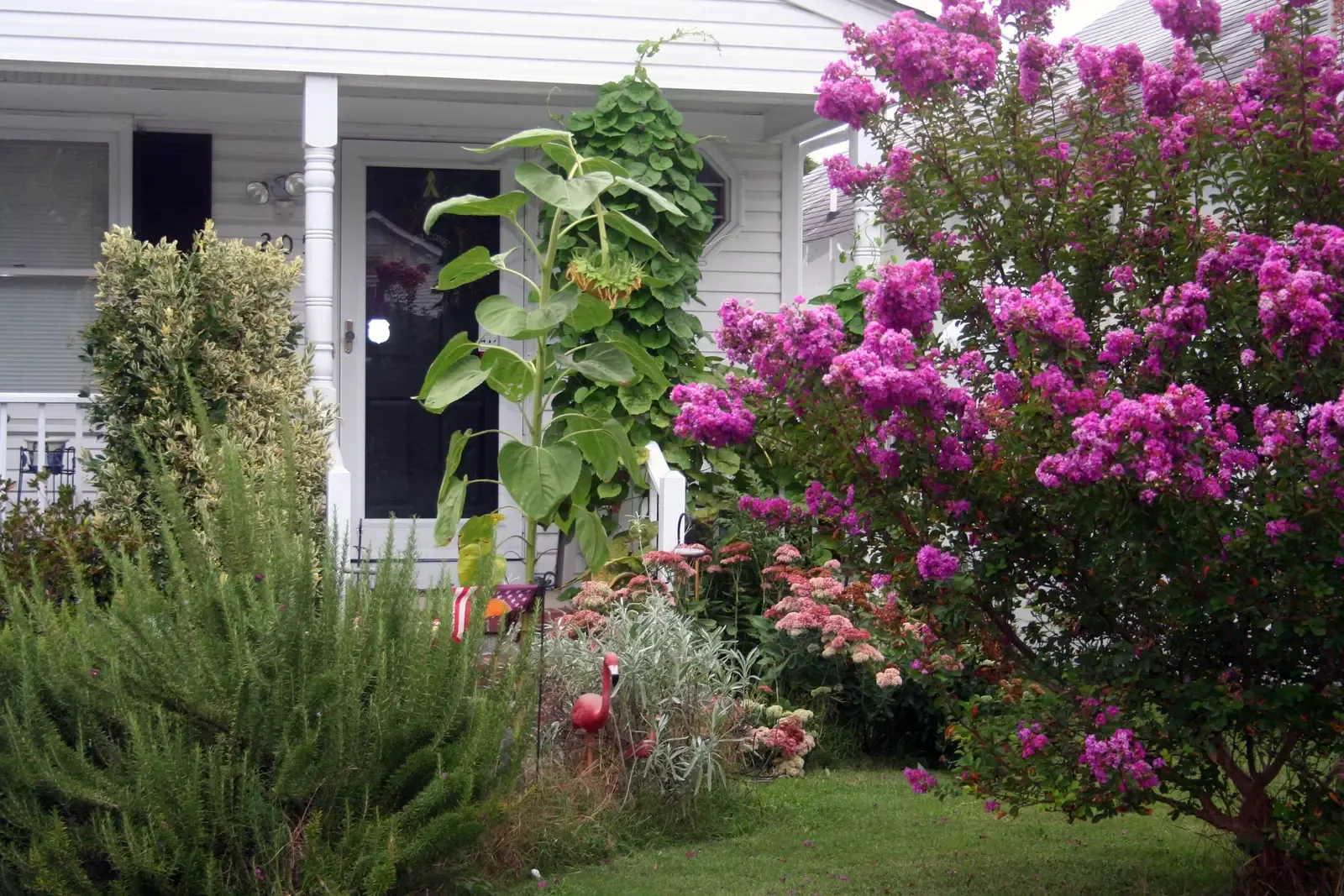 8. Poor curb appeal before a buyer even steps inside (A Little Overgrown, <a href="https://commons.wikimedia.org/w/index.php?curid=71493741" target="_blank" rel="noopener">CC BY 2.0</a>)