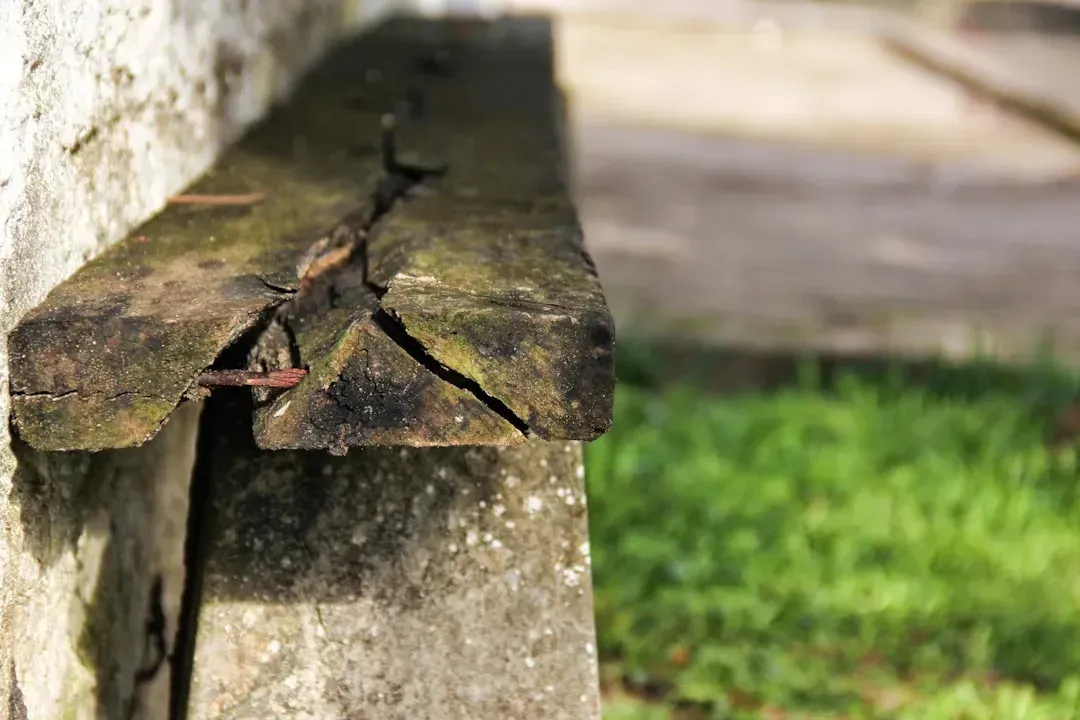 5. Wooden Structural Elements and Trim (Image Credits: Unsplash)