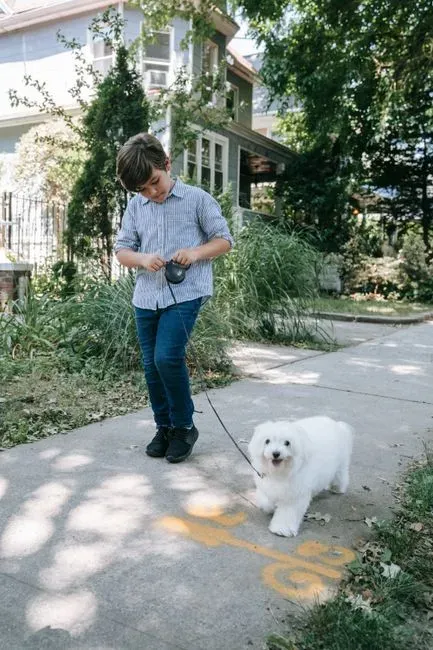 5. Underestimating How Much Pets Affect Shared Spaces (Image Credits: Pexels)