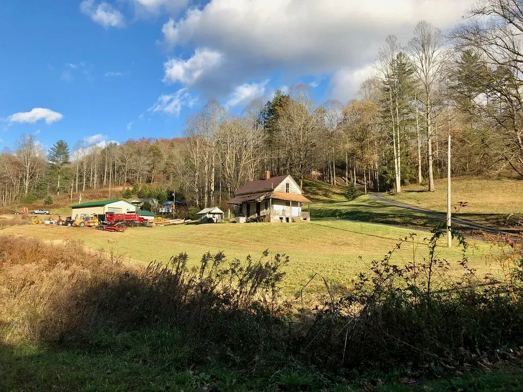 7. Choosing the Wrong Grass Type for Your Region (Image Credits: Flickr)