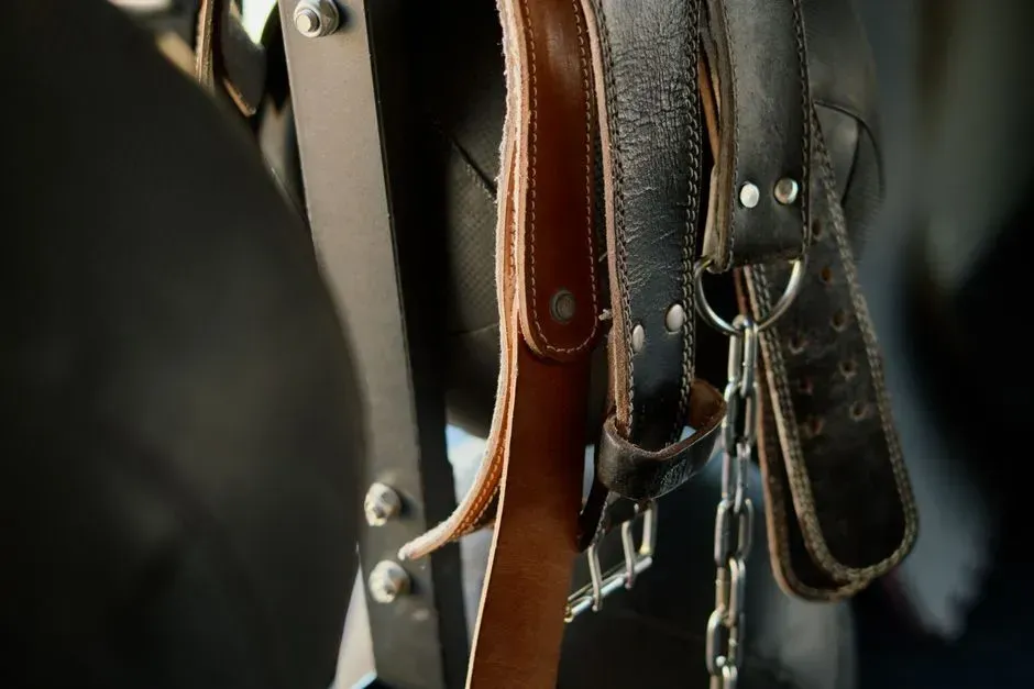 1. The Belt (Image Credits: Pexels)