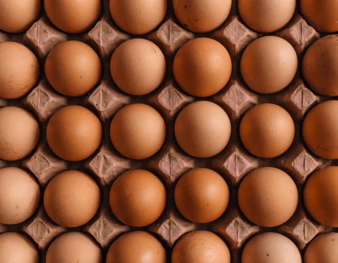 Eggs: finally back to being a bargain (Image Credits: Unsplash)