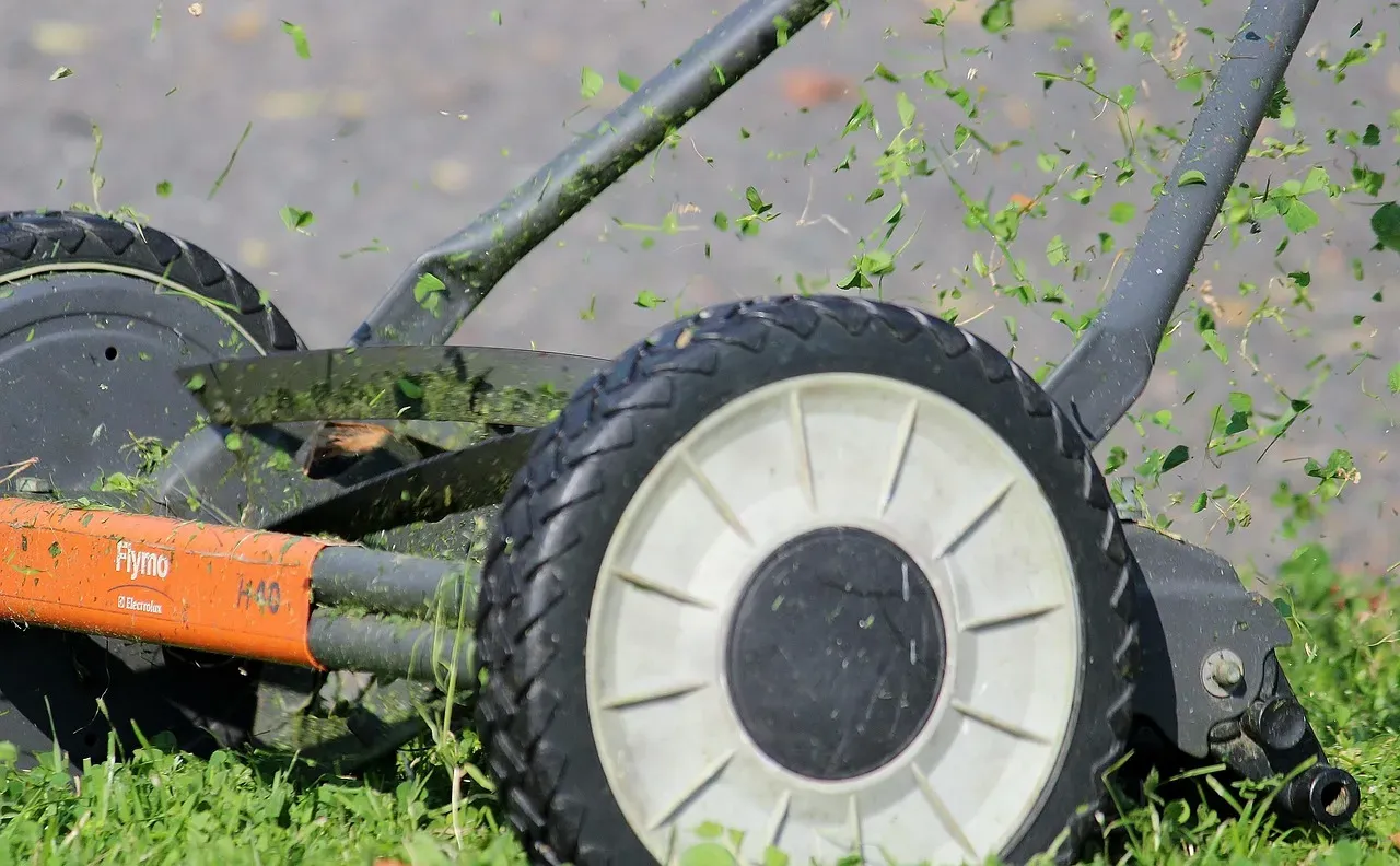 8. Failing to Check Mower Blades After the Session (Image Credits: Pixabay)