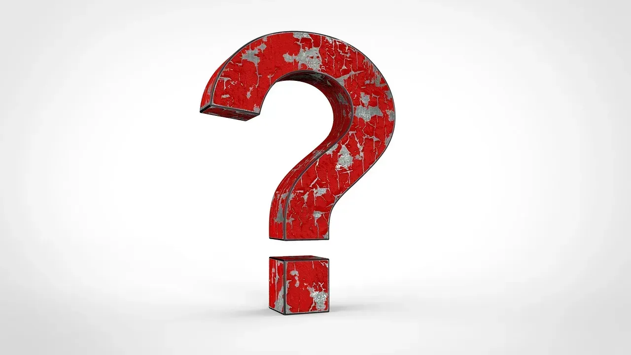 Questions Signal Genuine Intelligence, Not Ignorance (Image Credits: Pixabay)