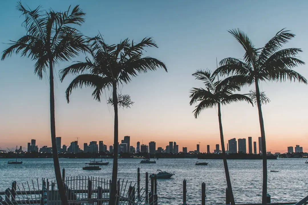 6. Miami, Florida (Image Credits: Unsplash)