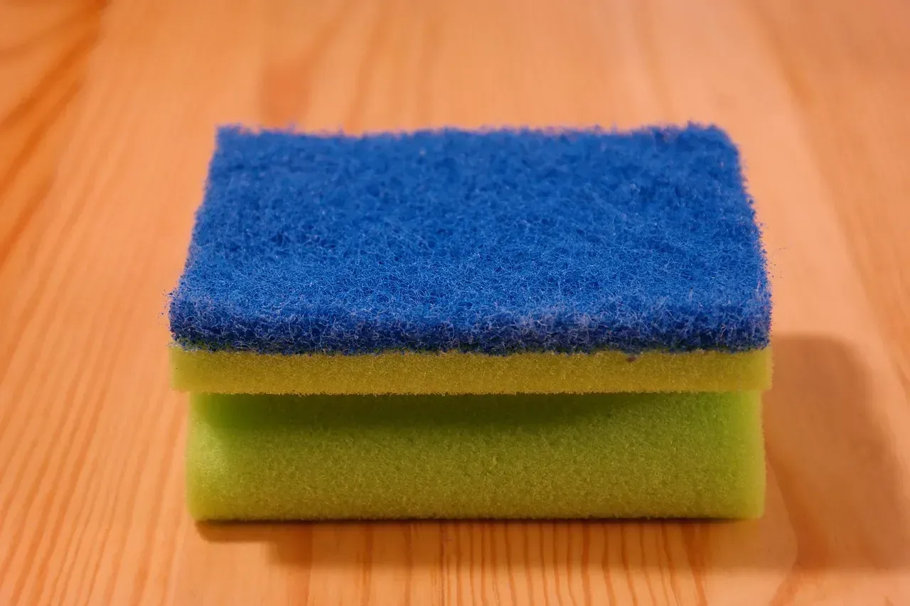 4. Neglecting the Kitchen Sponge (Image Credits: Pixabay)