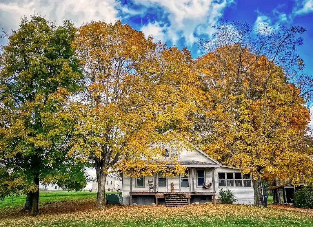 Kentucky's low transfer tax comes with a geographic catch (Image Credits: Unsplash)