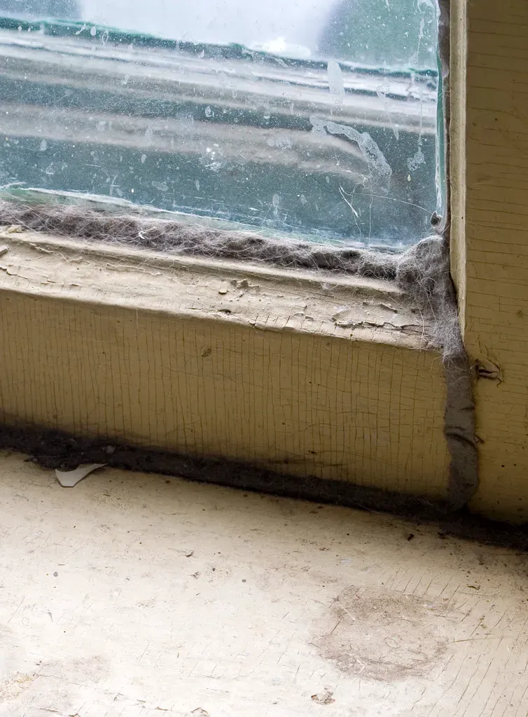 6. Caulking Around Windows and Doors (Unhindered by Talent, Flickr, <a href="https://creativecommons.org/licenses/by-sa/2.0/" target="_blank" rel="noopener">CC BY-SA 2.0</a>)