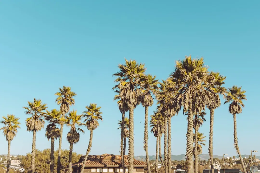9. Santa Maria, California (Image Credits: Unsplash)