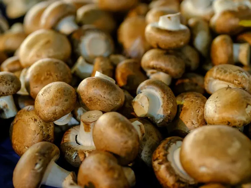 9. Canned mushrooms (Image Credits: Pexels)