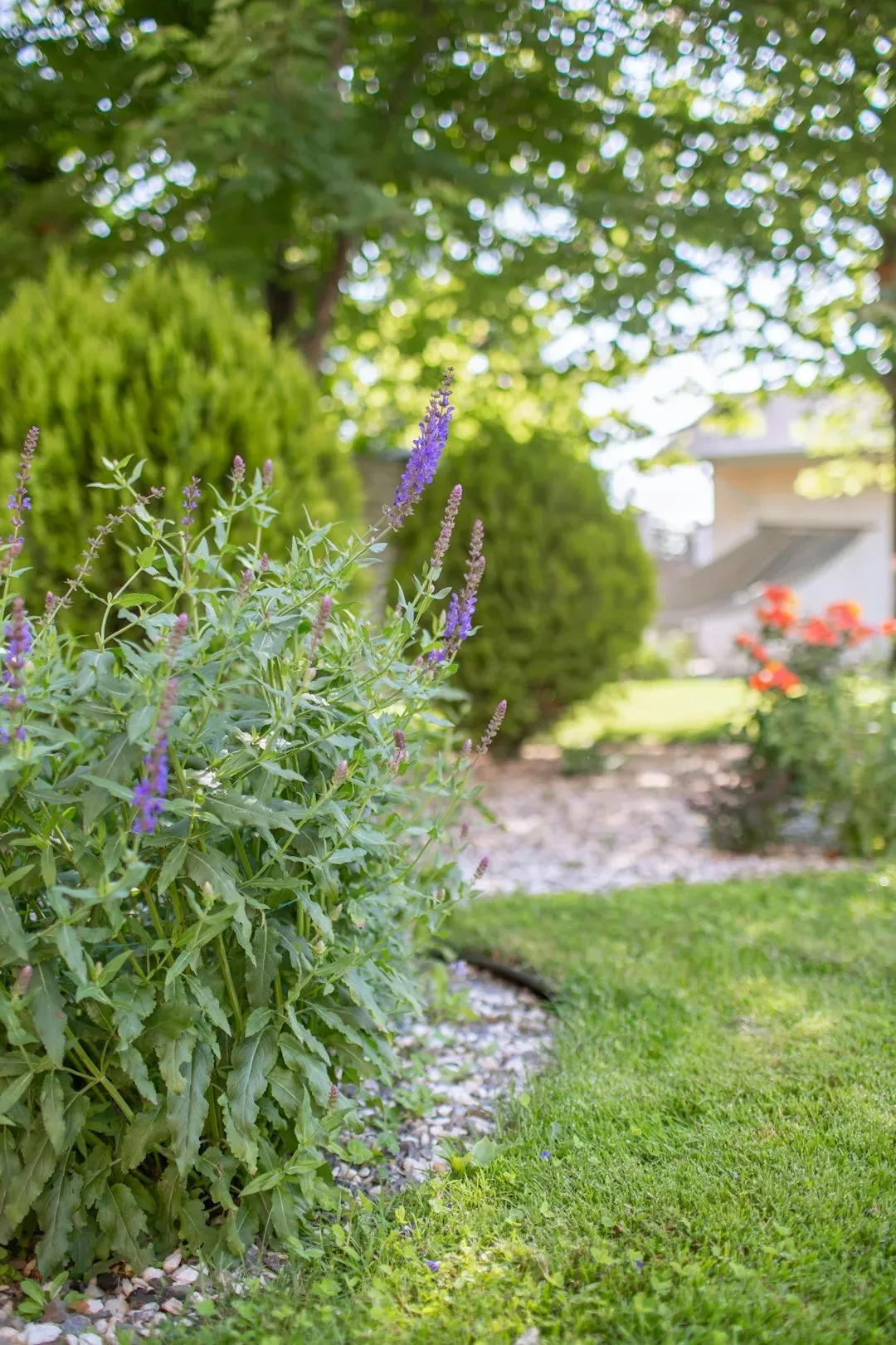 11. Landscaping that looks effortless but is not (Image Credits: Unsplash)