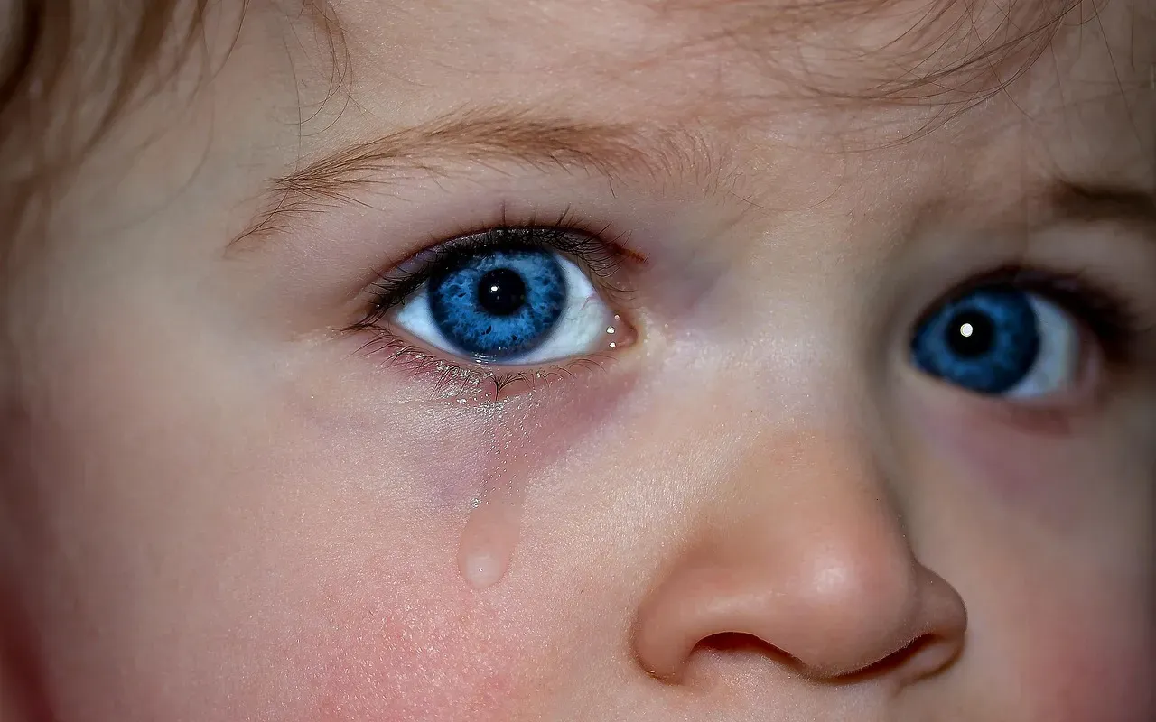 9. For Their Feelings to Be Taken Seriously (Image Credits: Pixabay)