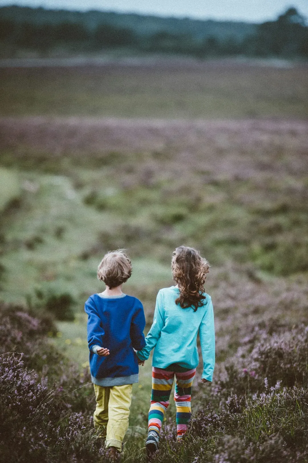 What Rivalry Teaches That Harmony Cannot (Image Credits: Unsplash)