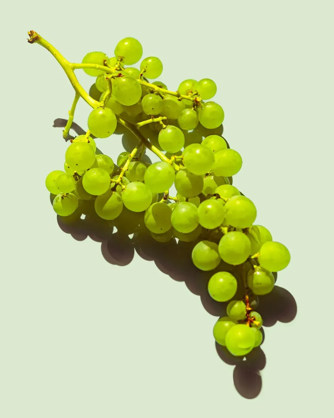1. Whole grapes (Image Credits: Unsplash)