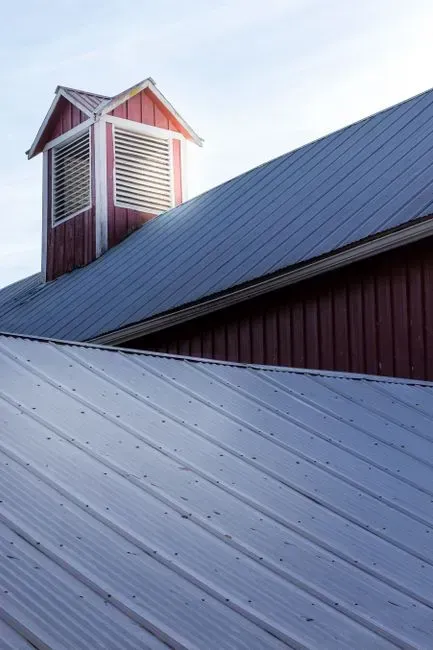 11. Slate, tile, or standing seam metal roofing (Image Credits: Pexels)