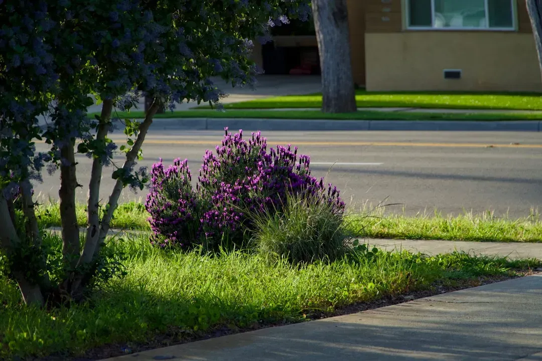 2. Landscaping that doesn't match community standards (Image Credits: Unsplash)